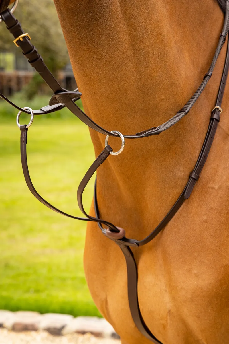 LeMieux Arika Running Martingale in Brown and Silver-1